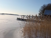 erica kotiutunut 171 : erica kotiutunut